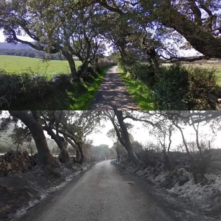 Calangianus, prima e dopo l'incendio (foto Coldiretti)