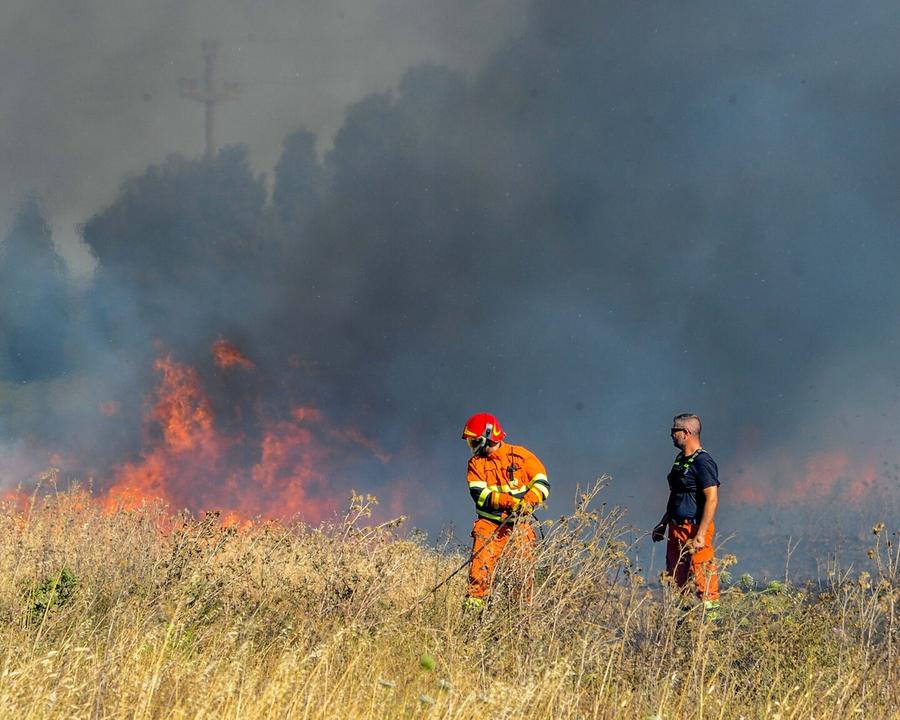 Fuoco in campagna, numerosi danni alle aziende agricole