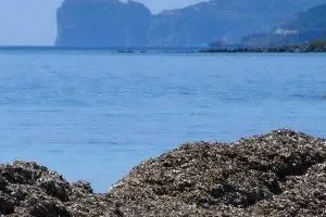 Il litorale di Alghero