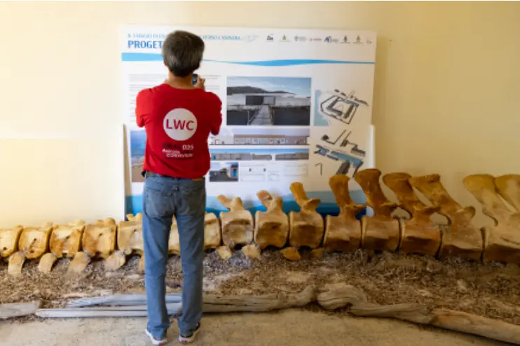 Un momento della Biennale all'Asinara (foto Pala)