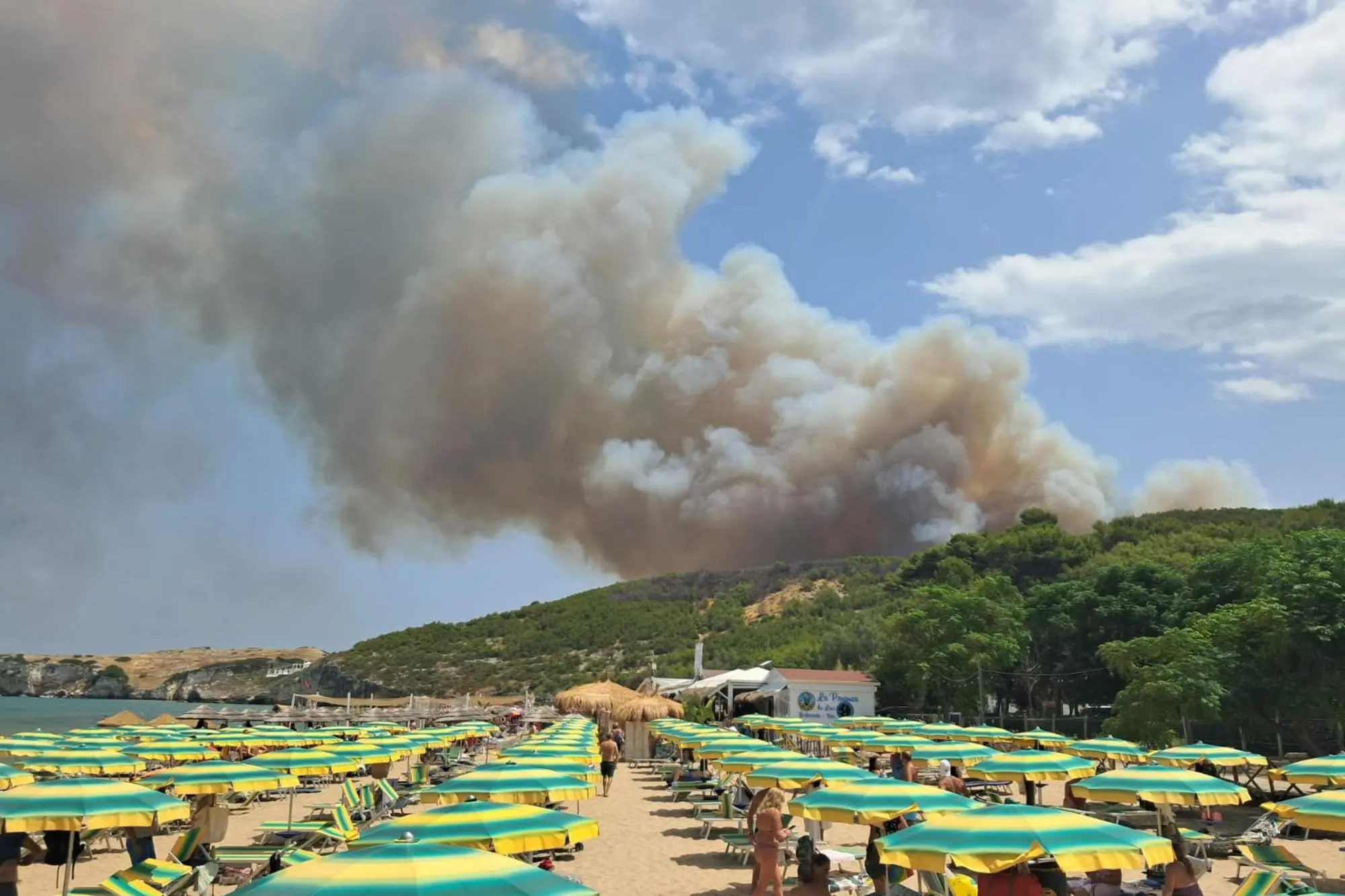 Un vasto incendio in località Pile Fraballe, zona rurale e periferica nel comune di Peschici (Foggia), nei pressi di Difesa di Manaccora (Foto: Ansa)