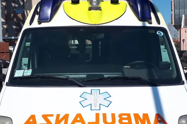 (Ansa)