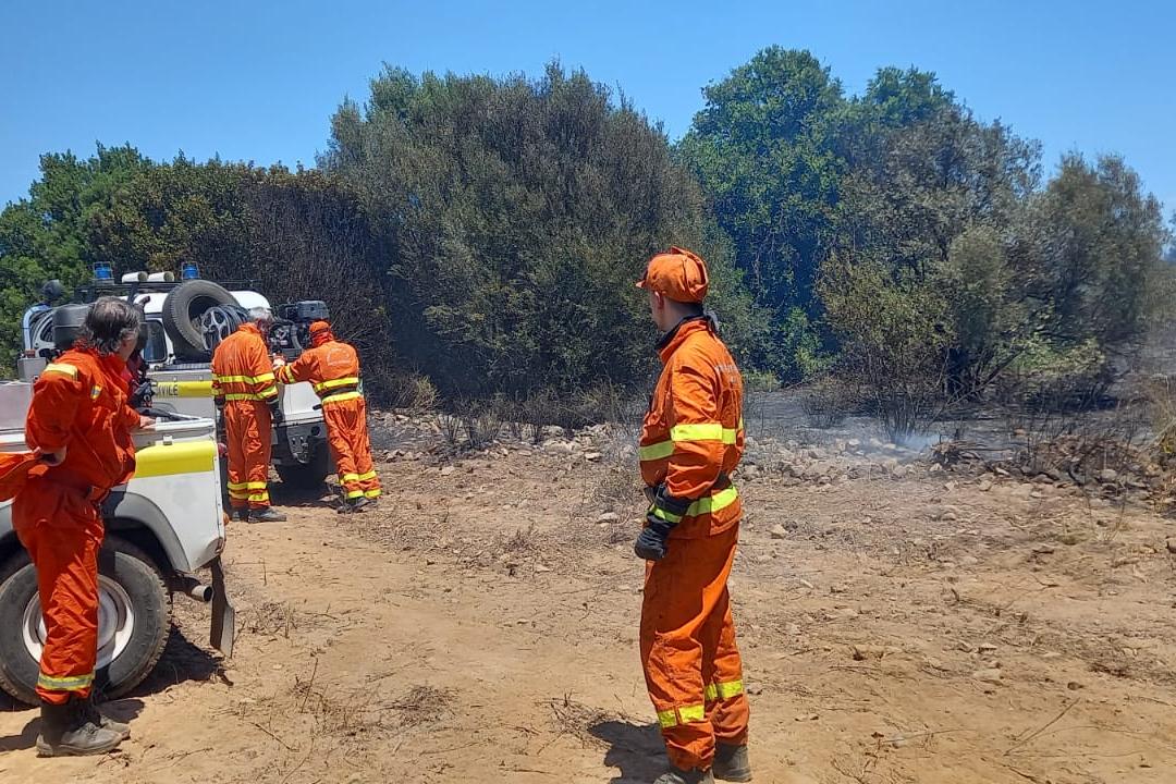 Giornata di incendi a Capoterra: distrutti otto ettari di oliveti, vigne e alberi di eucalipto
