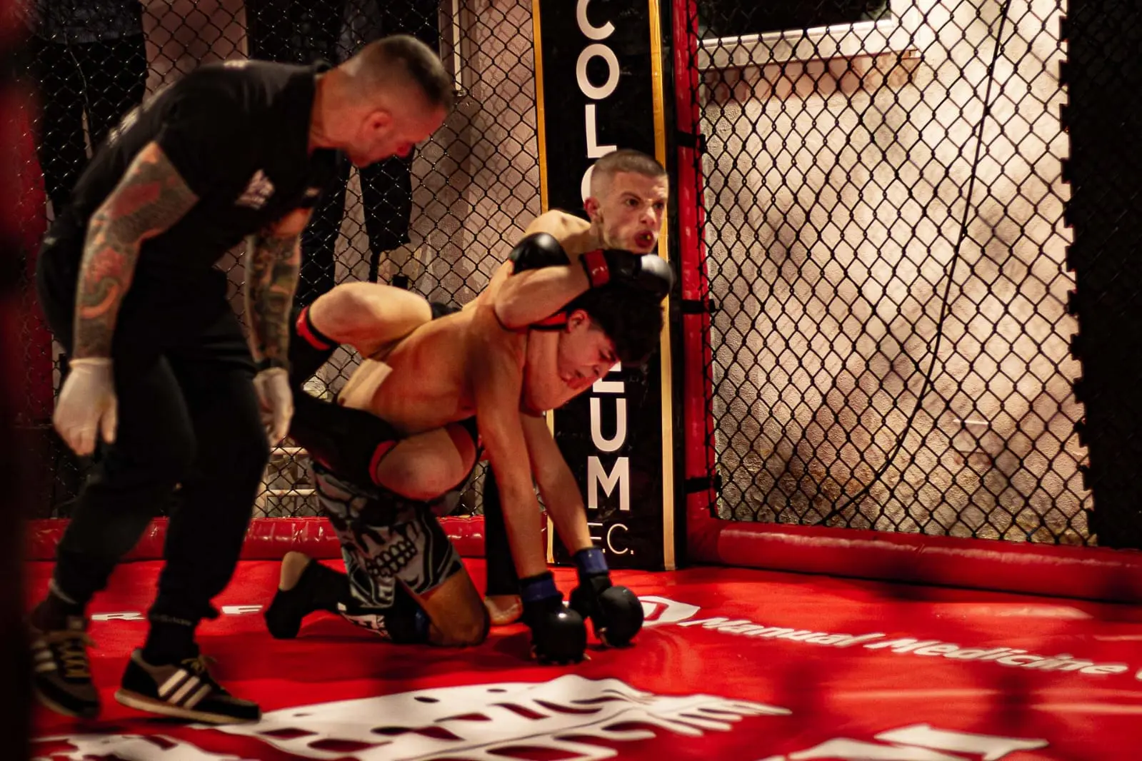 Un combattimento di MMA