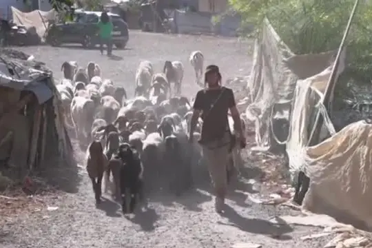 Cisgiordania, Israele vuole sgomberare un villaggio chiave