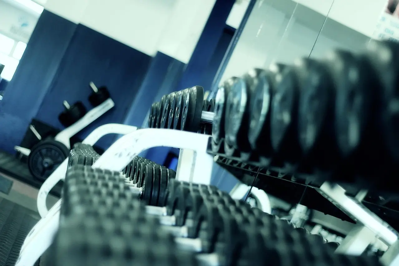 Una palestra (Pixabay)