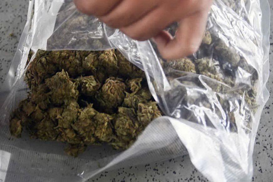 Nasconde 105 chili di marijuana a bordo di un'auto: 35enne arrestato a Bologna