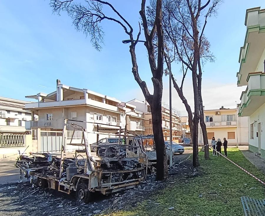 Via Togliatti, nuovi alberi dopo il rogo