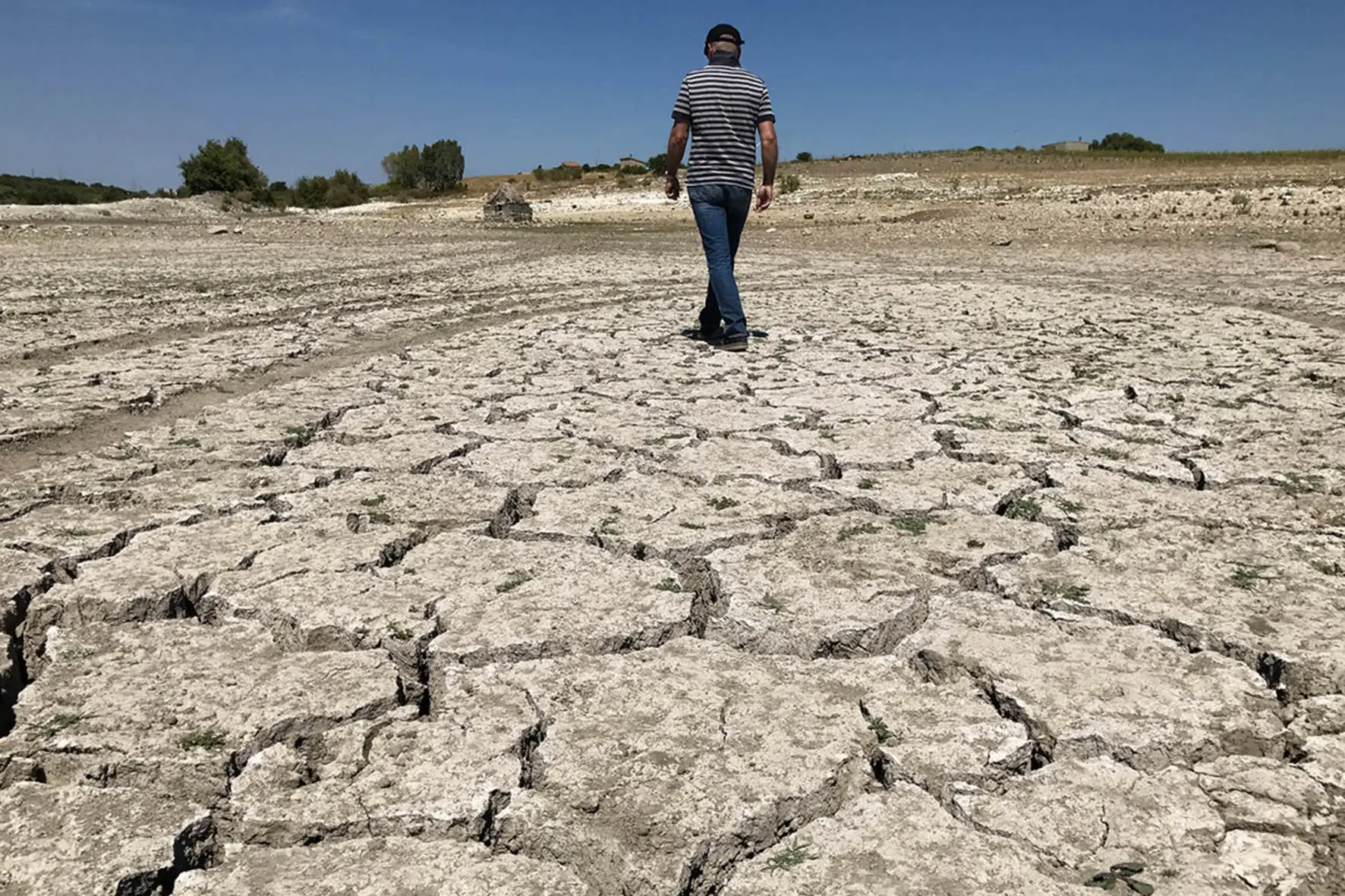 Desertificazione ed effetti della siccità in Sardegna - foto Gloria Calvi