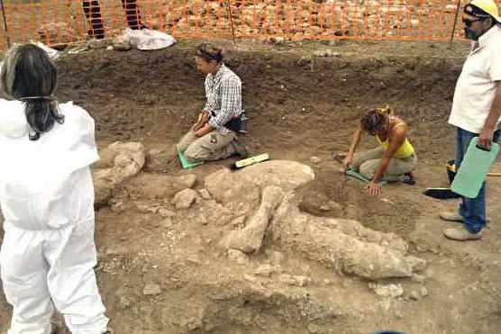 Gli scavi a Mont'e Prama (foto Sara Pinna)