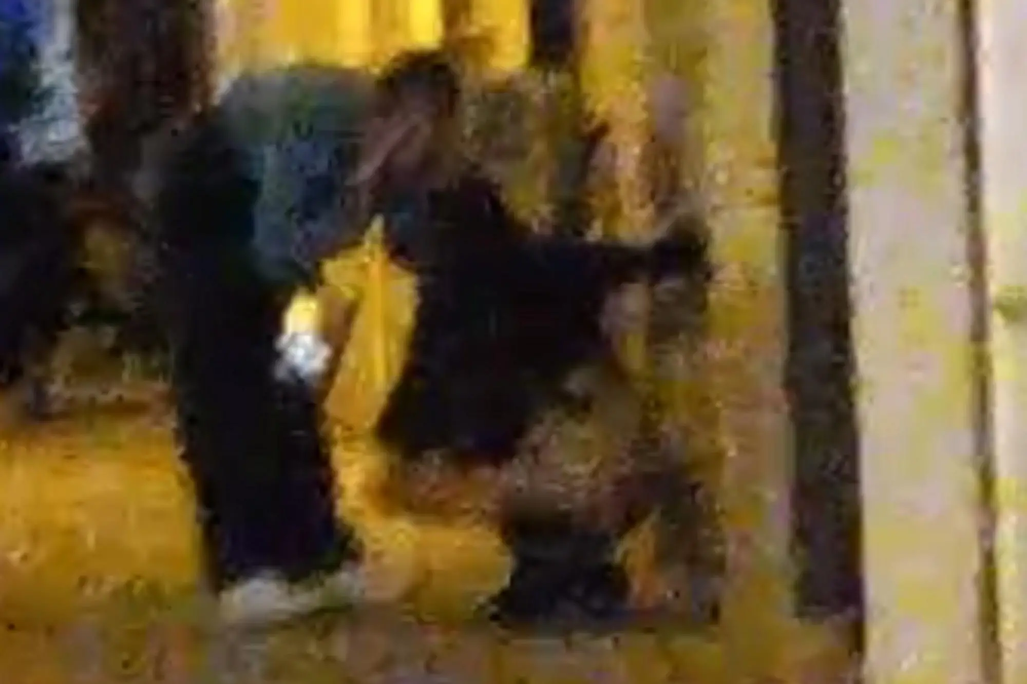 La giovane accovacciata nel Corso (Frame del video)