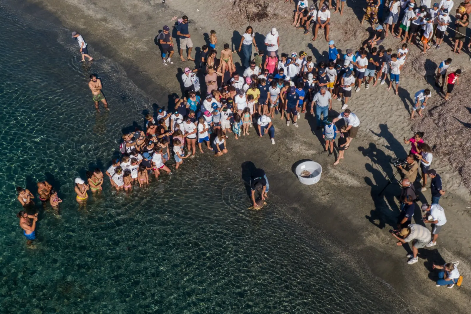 Il momento della liberazione (Foto Luigi Corda)