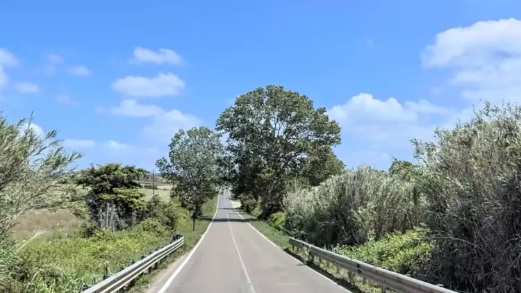 https://immagini.unionesarda.it/version/c:ZWFmMWYxOTgtNjJkNi00:N2VhMDBkMTQtODI5OS00/image.webp?f=16:9