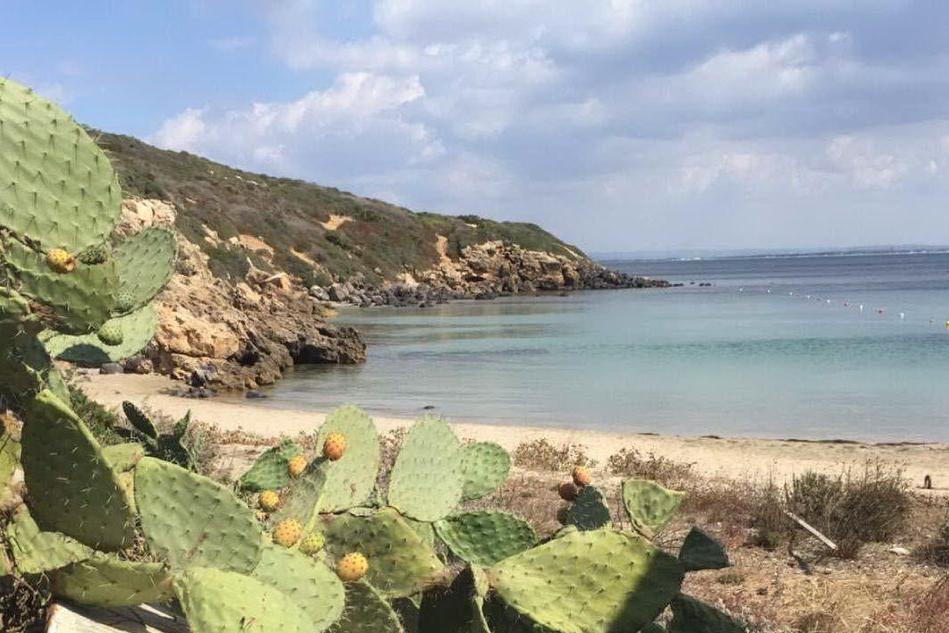 Cabras: una giornata ecologica per ripulire la spiaggia della Caletta
