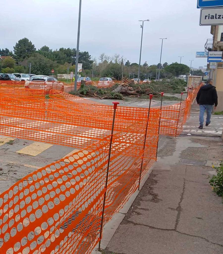Via Cabras, cantiere fermo dopo il taglio dei pini