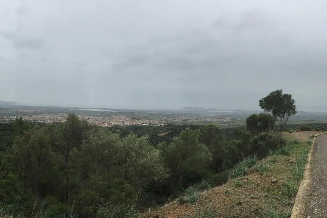 La pineta e sullo sfondo l'abitato di Sinnai