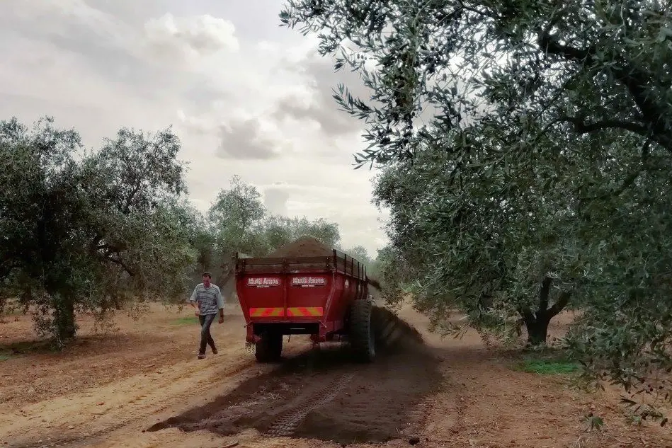 La dimostrazione di spargimento del compost in campo (foto L'Unione Sarda - Cazzaniga)