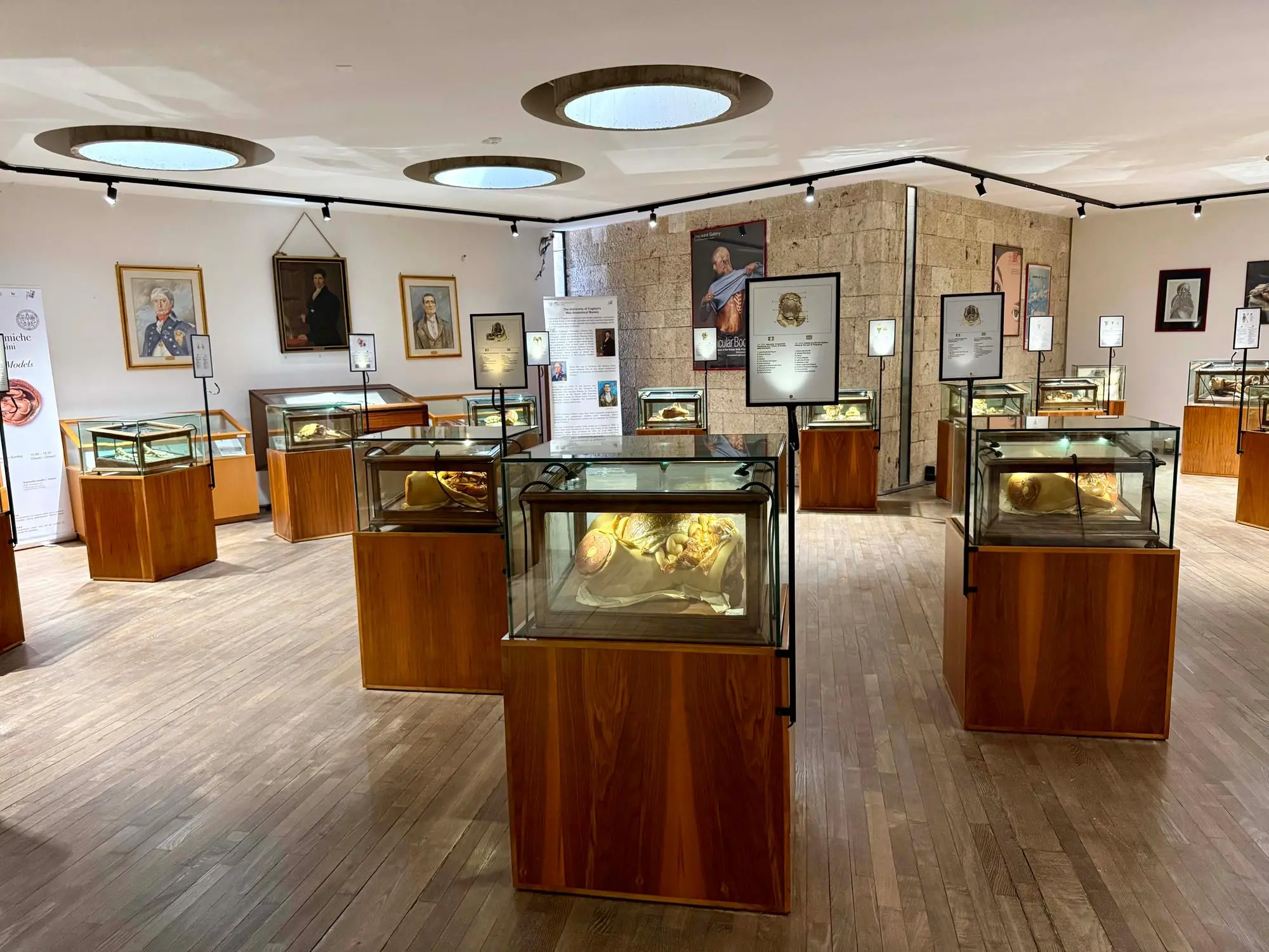 Le cere di Clemente Susini esposte alla Cittadella dei Musei di Cagliari