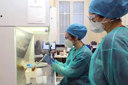 Covid in Italia, il bollettino dell'8 giugno 2022 (foto Ansa)