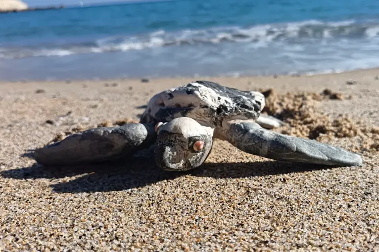L'installazione sulla spiaggia di Balai (foto Pala)
