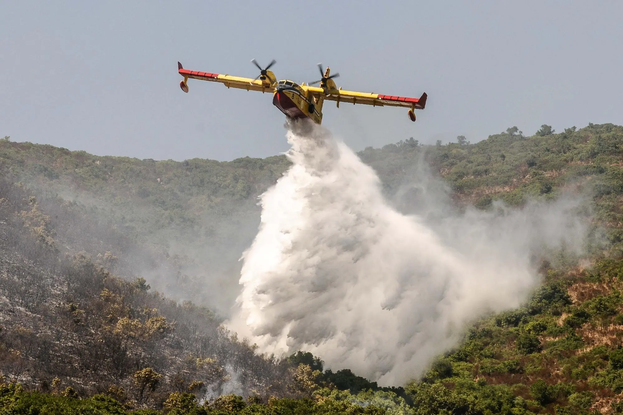 Un Canadair impegnato a spegnere un incendio in Sardegna