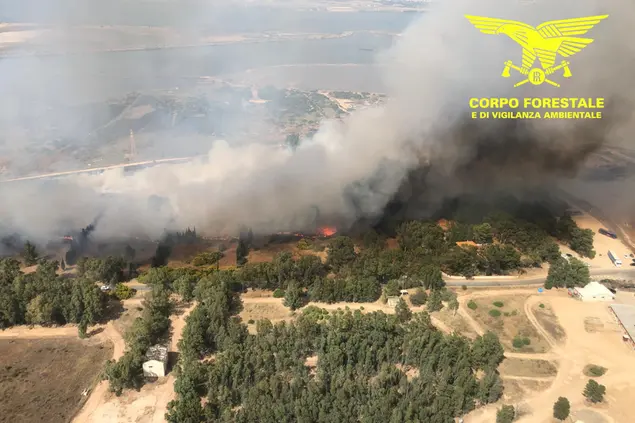 Uno dei roghi di cui è accusato l'incendiario (foto Corpo forestale)