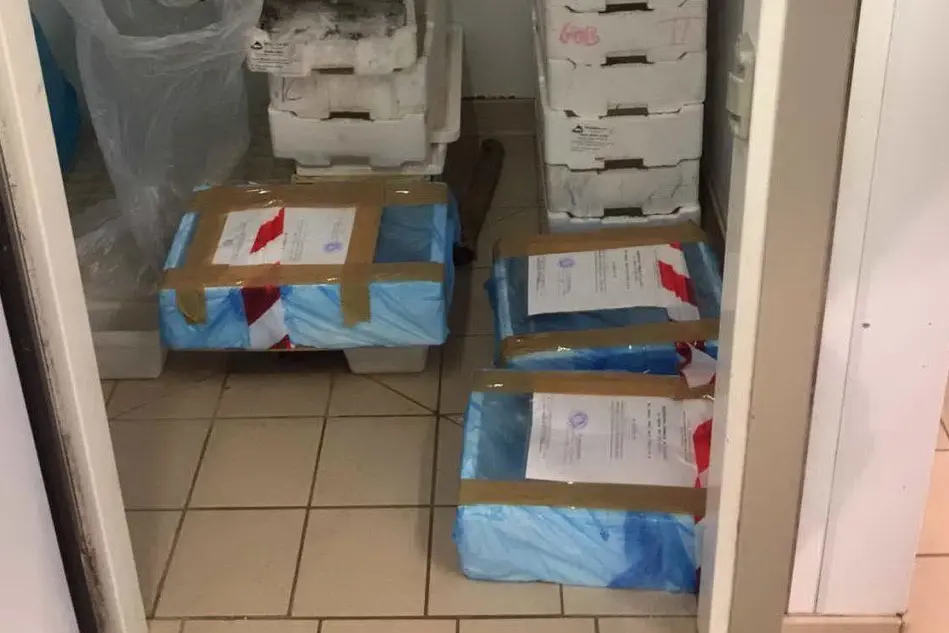 Parte del pescato sequestrato