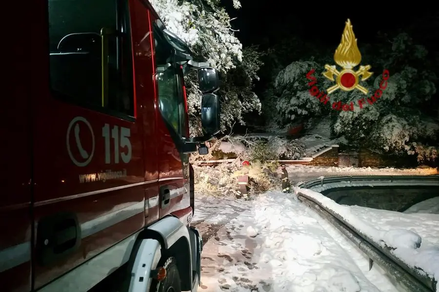 Uno degli interventi (foto Vigili del fuoco)