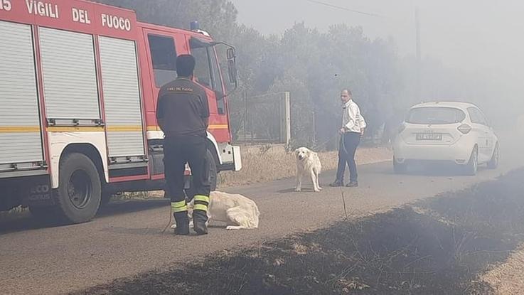 Incendio a Selargius, riaperta la statale 387: decine di ...