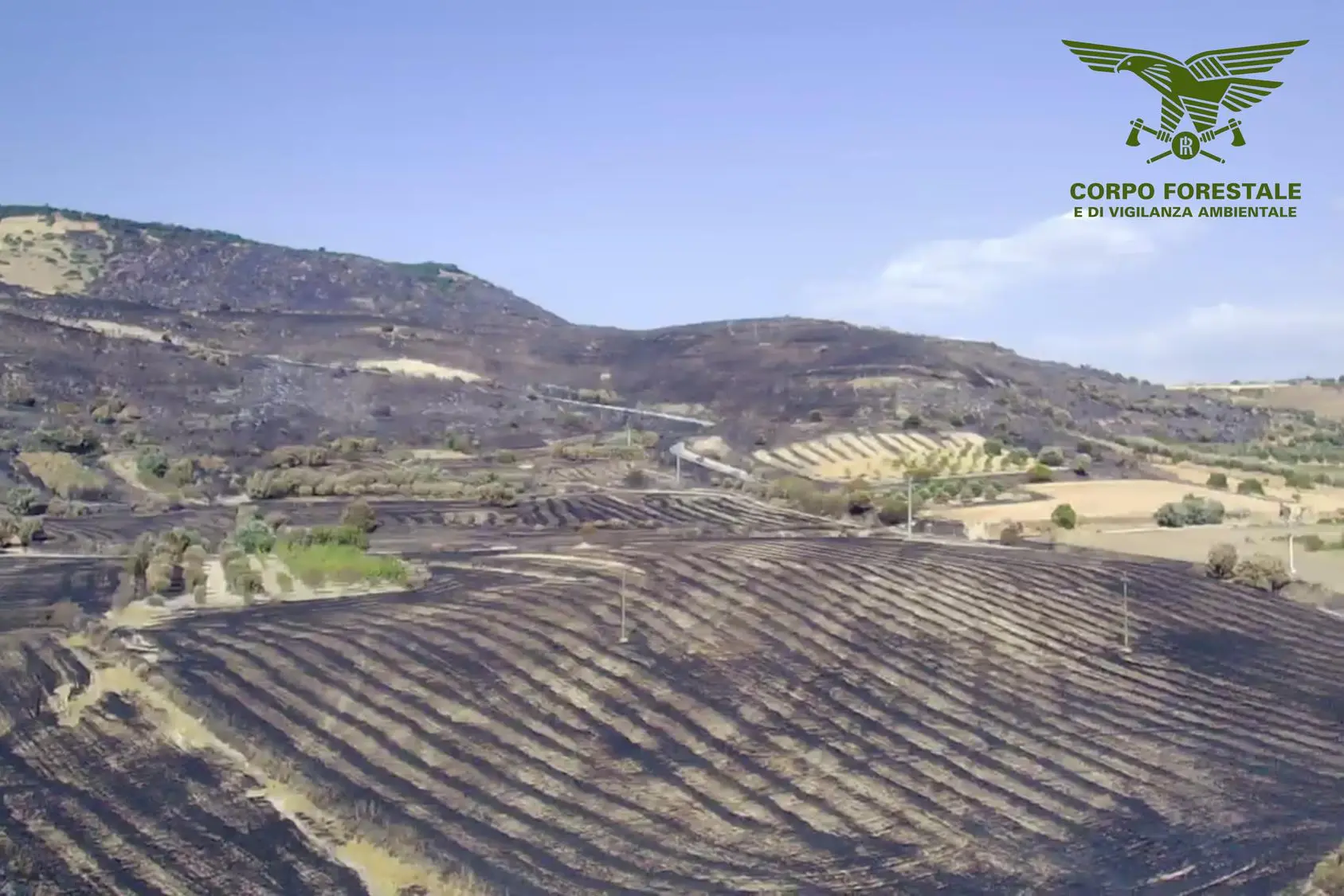 Le campagne di Setzu attraversate dalle fiamme il 16 luglio scorso (Foto CFVA Regione Sardegna)