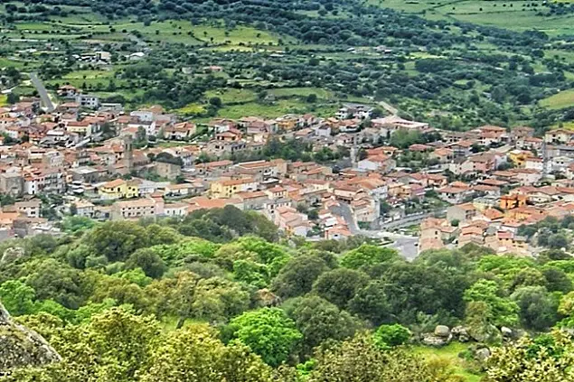Benetutti (foto concessa)