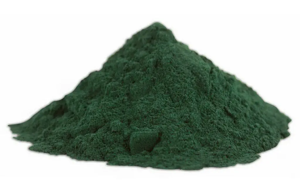 La spirulina (foto da Google)