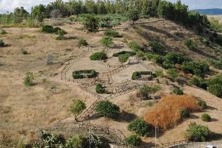 La necropoli di Monte Luna (Foto Sirigu)