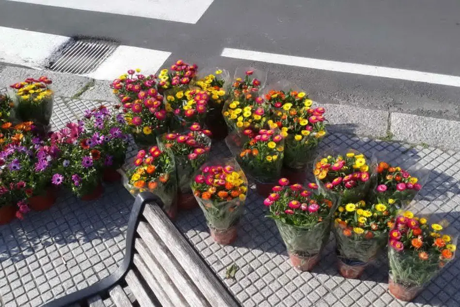 I fiori sistemati in centro città (foto Giorgia Daga)