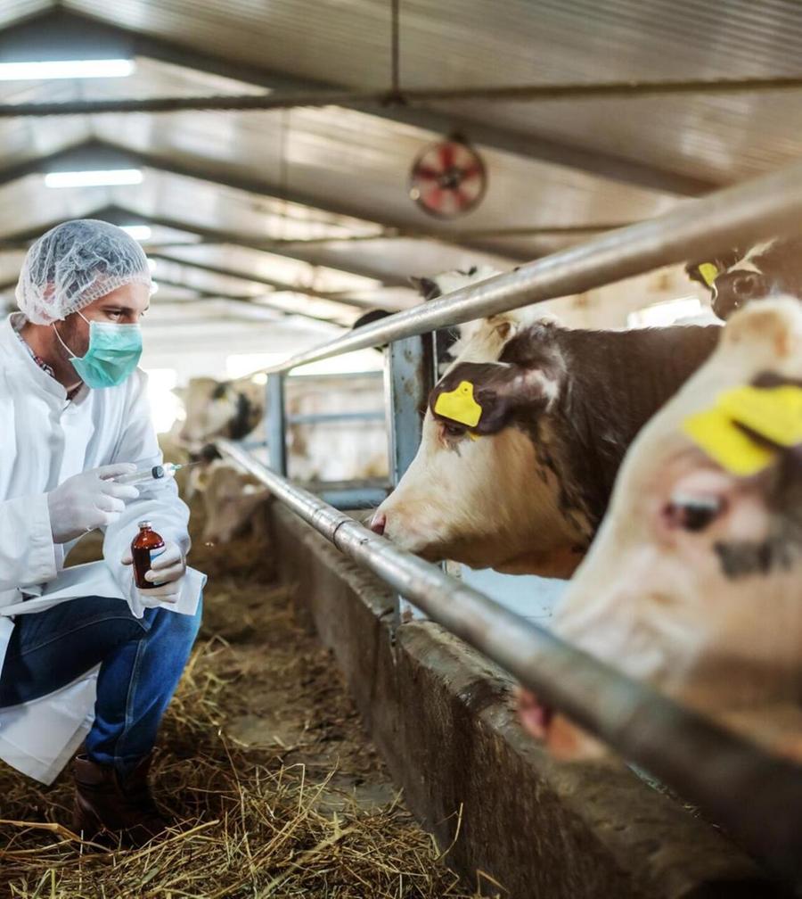 Dermatite, la zona rossa si allontana