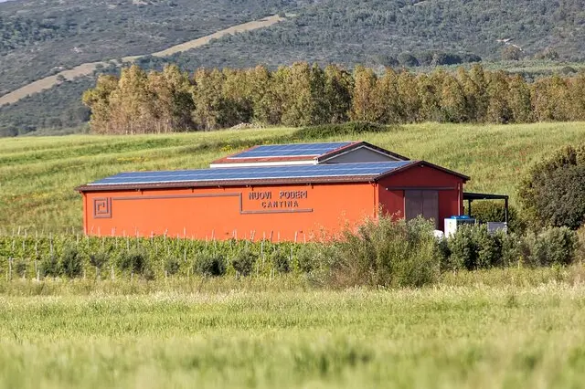 L'azienda di Sisini