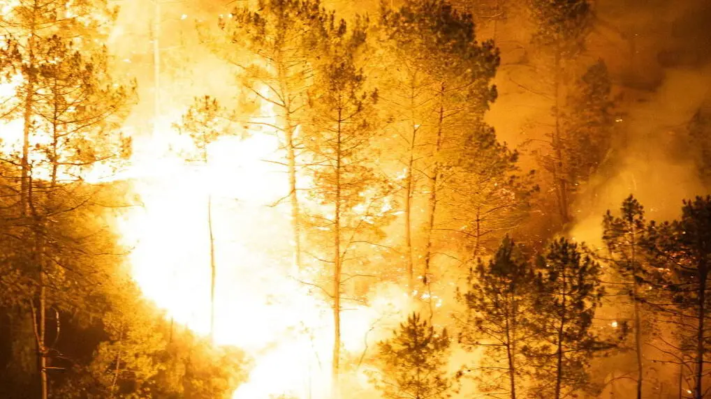 Incendi e siccità in Europa: situazione critica in Sardegna e Bulgaria