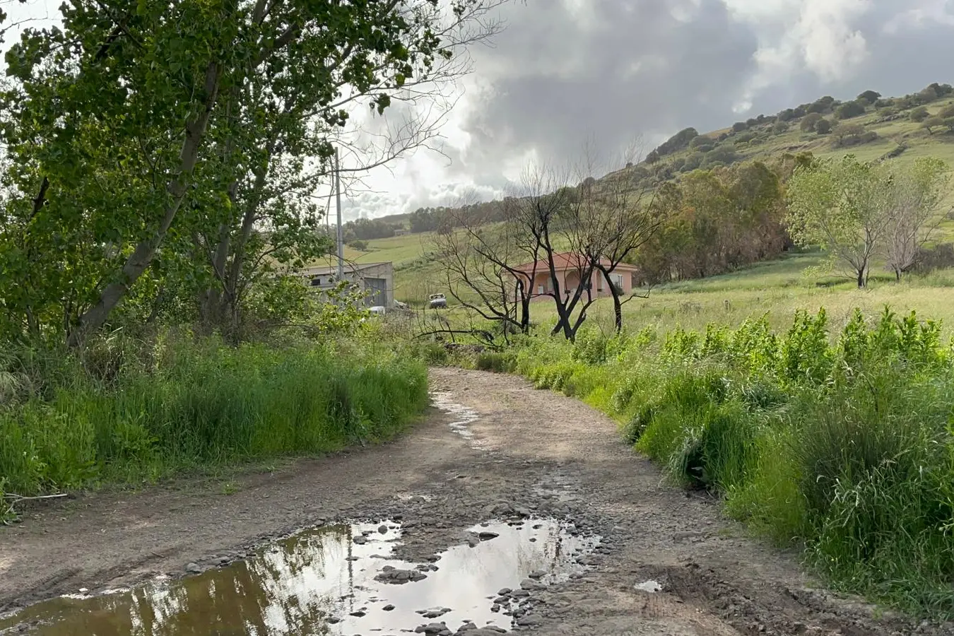 La zona dell'agguato in località Peruchi (foto Fiori)