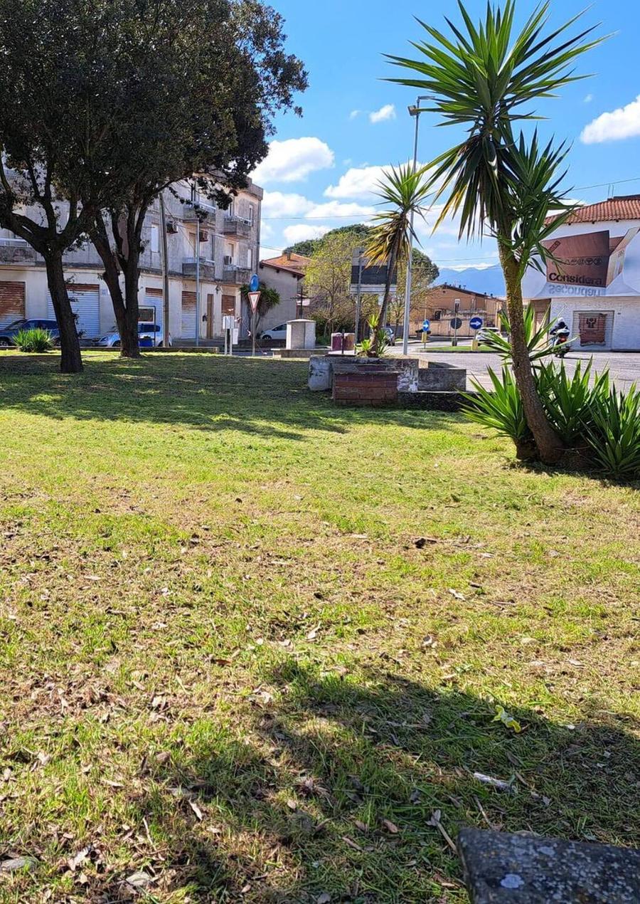 Adotta un’aiuola, il Consiglio approva il regolamento