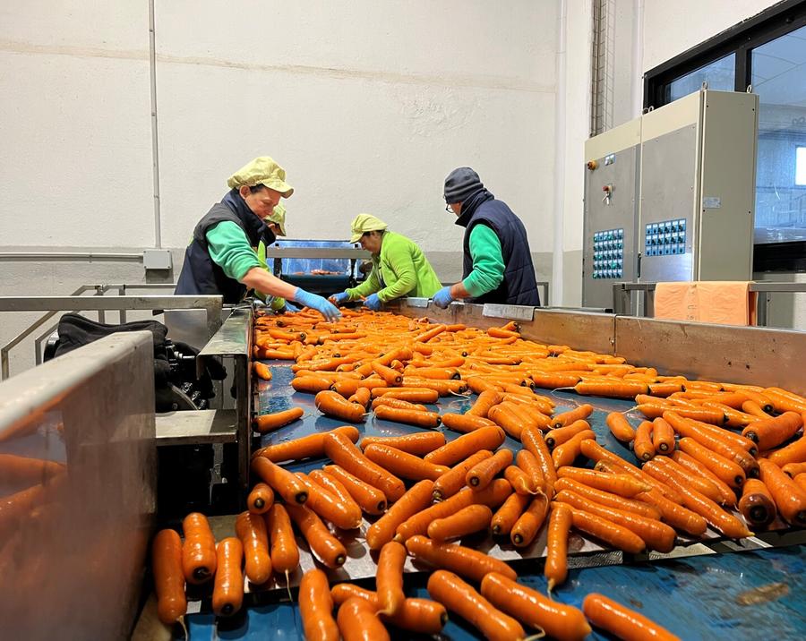 La sfida delle imprese agricole sarde