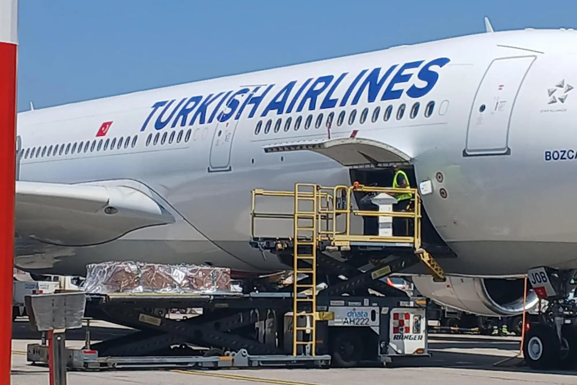 The Turkish Airlines flight from Istanbul carrying the bodies of Monica Montefalcone, a professor at the University of Genoa, her daughter Giorgia Sommacal, University of Genoa researcher Muriel Oddenino, and Federico Gualtieri, a recent graduate of the University of Genoa, landed at Malpensa Airport at 1:10 PM. The four Italian divers died during a dramatic cave dive in the Maldives with Gianluca Benedetti, whose body was repatriated in recent days. Milan, May 23, 2026. ANSA