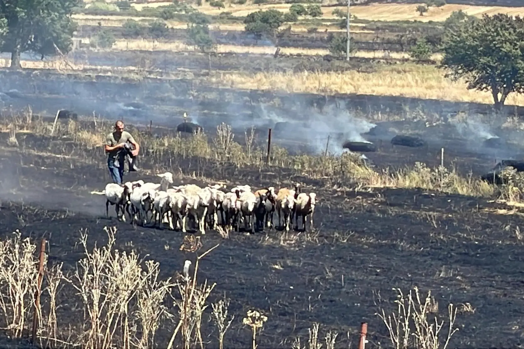 Un incendio a Bonorva (archivio-Deidda)