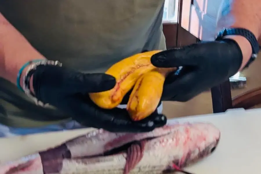 La bottarga di Cabras (Foto concessa)