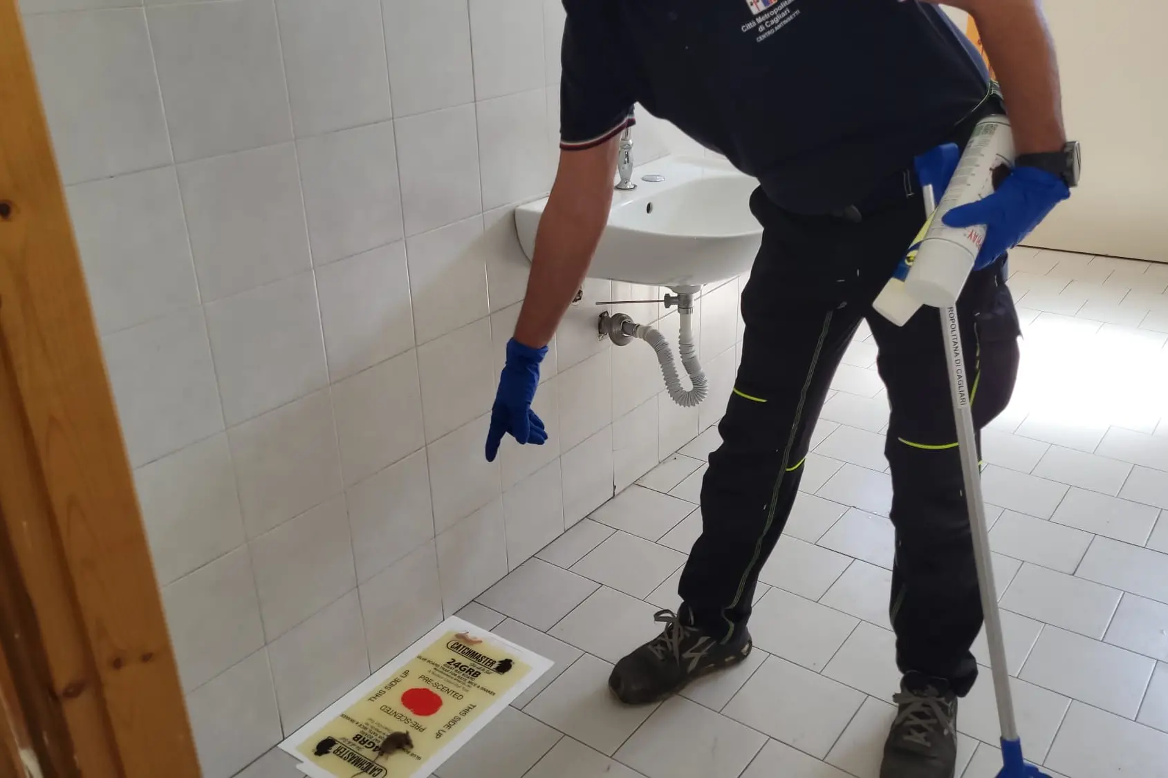 Eine Nagerbekämpfungsmaßnahme