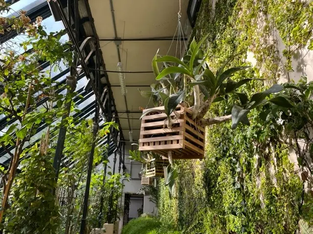 Una serra nell'orto botanico universitario di Padova