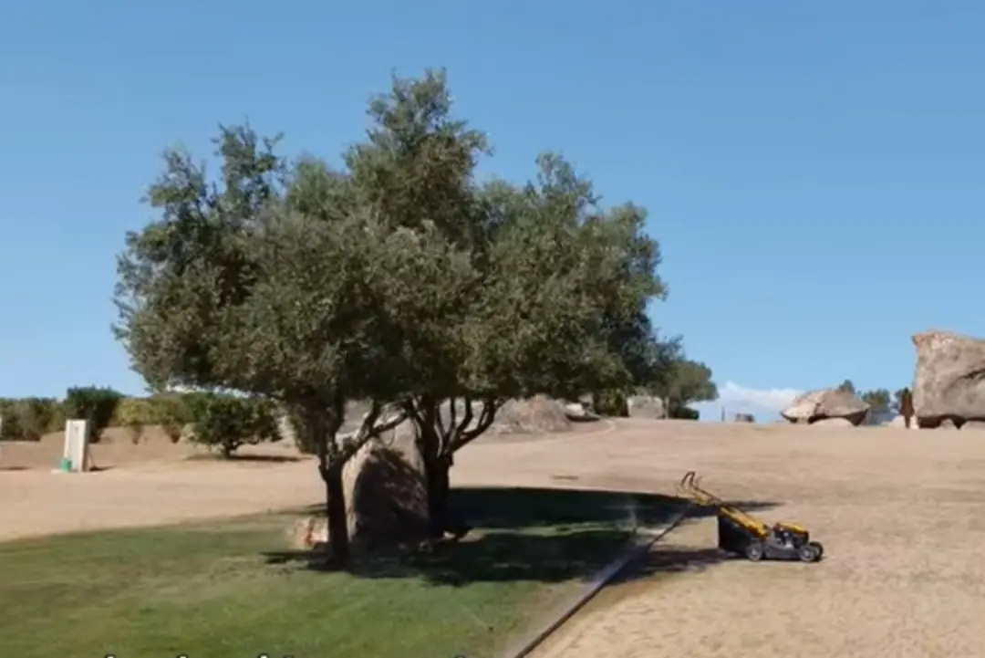 Cimitero Su Lizzu