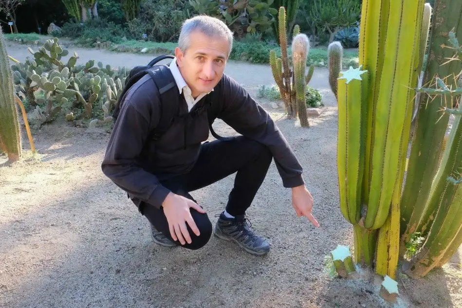 Il direttore dell'orto botanico Gianlugi Bachetta mostra una delle piante tagliate dai ladri