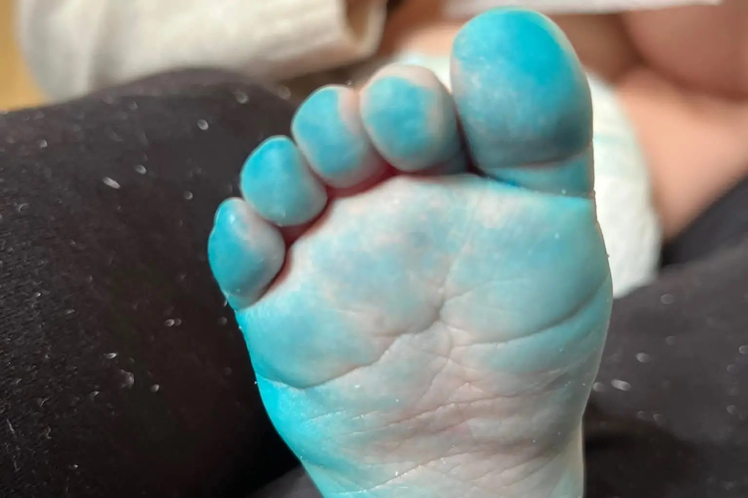 Foto di Donatella Pireddu