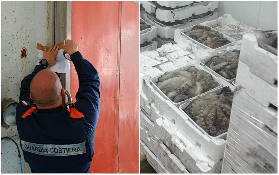 Sulcis, sequestrati oltre 1700 chili di pesce non tracciato: saranno donati alla Caritas