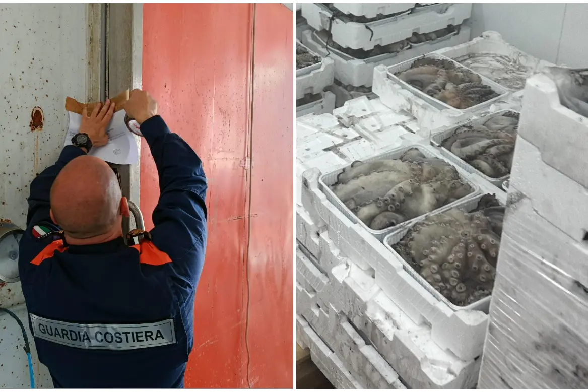 (foto Guardia Costiera)